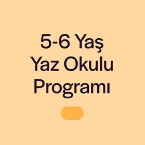 5-6 Yaş Yaz Okulu Programı